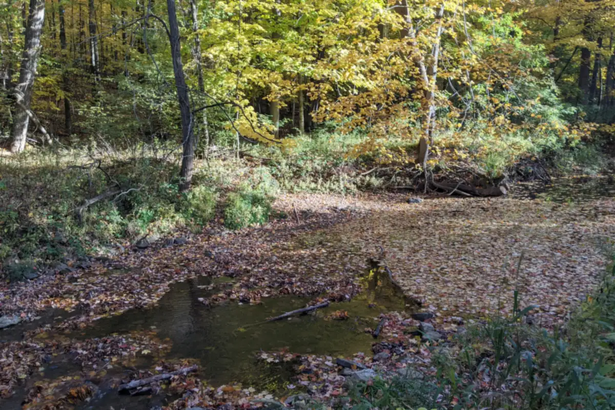 Garners Creek winding through woods in autumn in Combined Locks, near Buchanan, WI